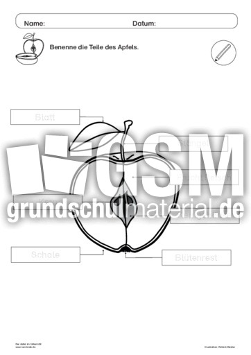 Der Apfel im Unterricht 25.pdf